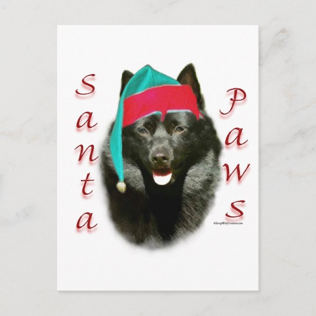 Schipperke Santa Paws Holiday Postcard (Front)