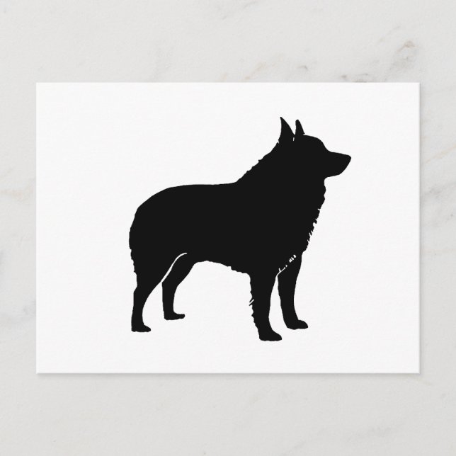 Schipperke silhouette.png postcard (Front)