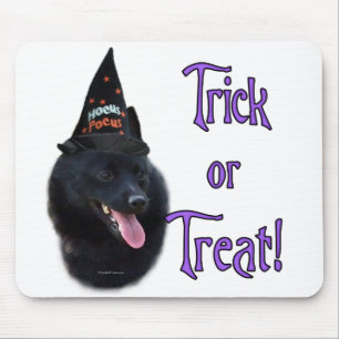 Schipperke Trick Mouse Pad