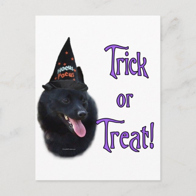 Schipperke Trick Postcard (Front)