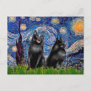 Schipperkees (two,5&6) - Starry Night Postcard
