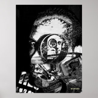 schizophrenia terminal phasis poster