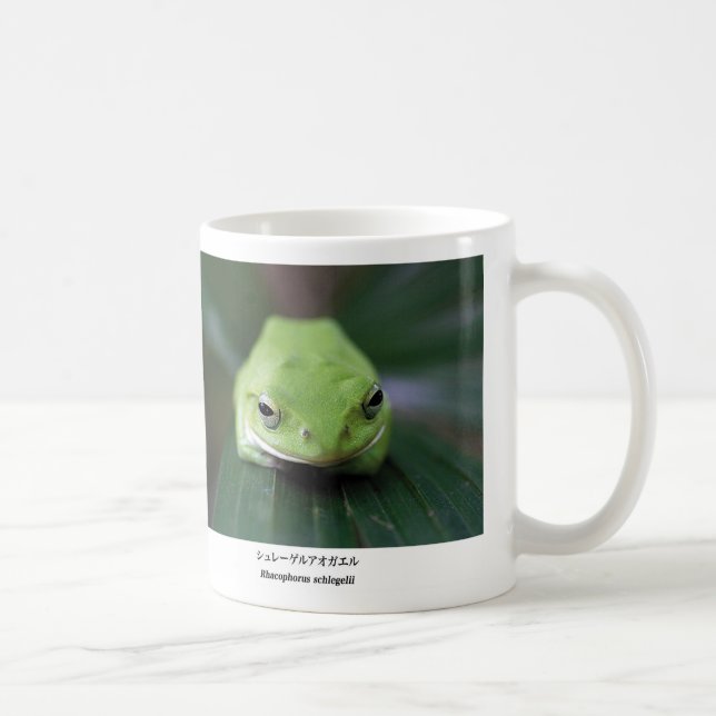 Schlegel's green tree frog coffee mug (Right)