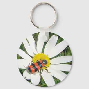 Schlüsselanhänger rot-schwarz gestreifter Käfer Key Ring