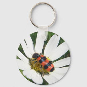 Schlüsselanhänger süsser rot-schwarzer Käfer Key Ring