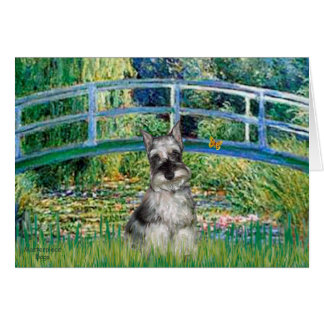 Schnauzer 1 - Bridge