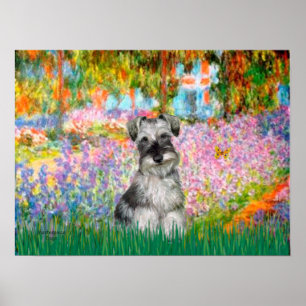Schnauzer 1N - Garden Poster