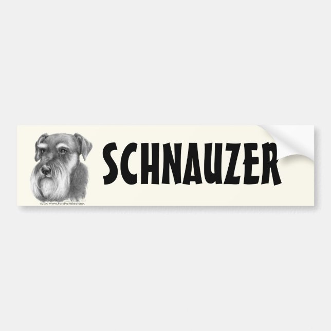Schnauzer Bumper Sticker (Front)