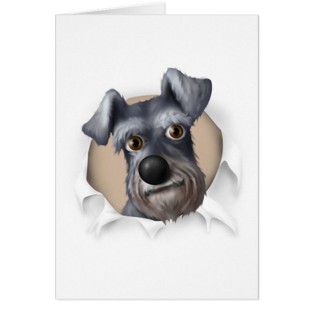 Schnauzer Busting Out (Front)