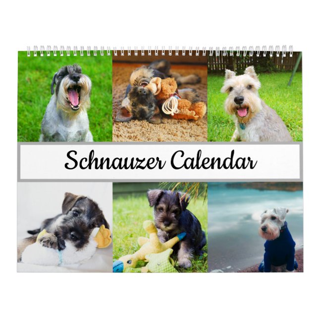Schnauzer Calendar (Cover)