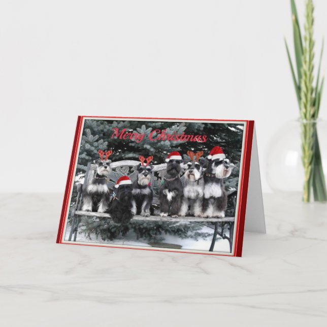 Schnauzer Christmas card (Front)