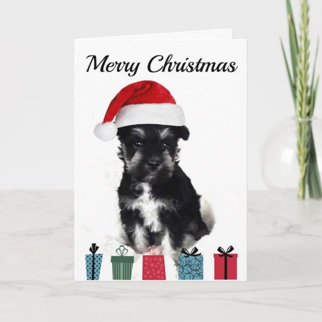 Schnauzer Christmas Card (Front)