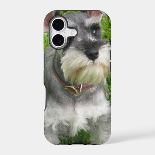 Schnauzer Dog (Back)