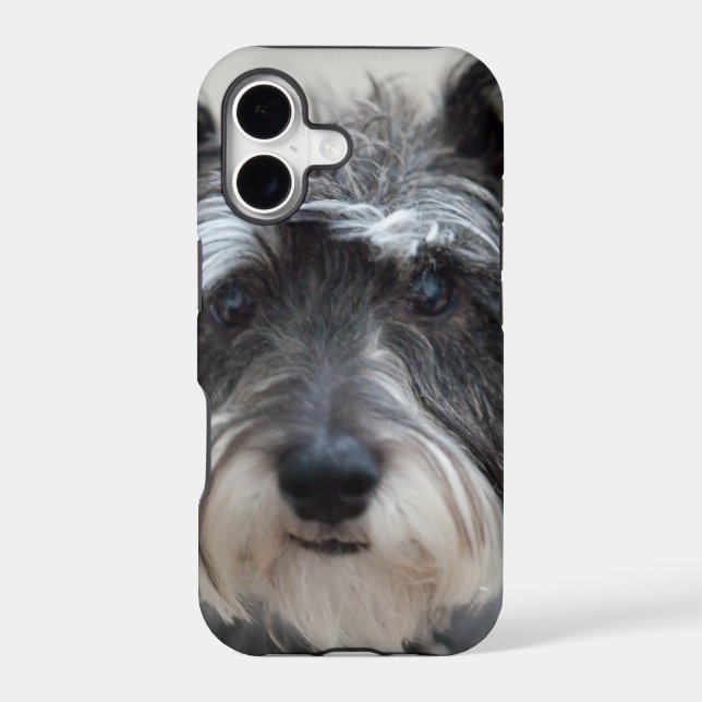 Schnauzer Dog (Back)