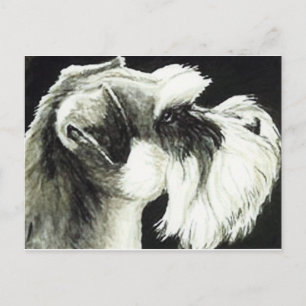 "Schnauzer" Dog Art Postcard
