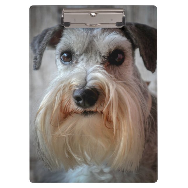 Schnauzer Dog face Clipboard (Front)