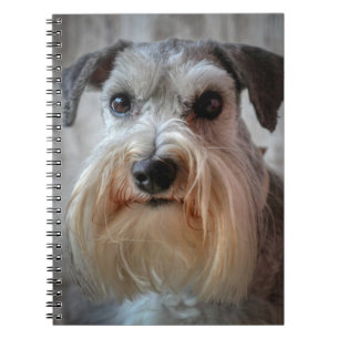 Schnauzer Dog face Notebook