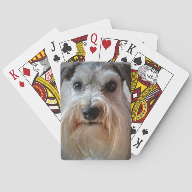 Schnauzer Dog face Playing Cards (Back)