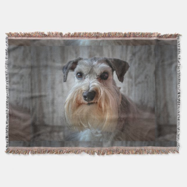 Schnauzer Dog face Throw Blanket (Front)