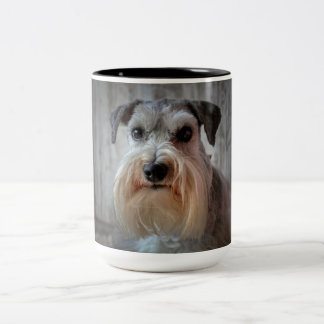 Schnauzer Dog Face Two-Tone Coffee Mug