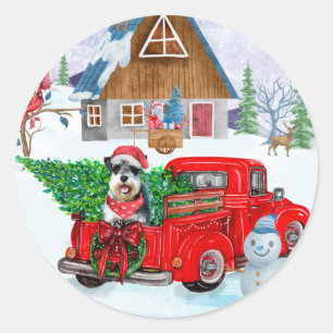 Schnauzer Dog In Christmas Delivery Truck Snow Classic Round Sticker