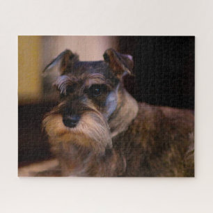 Schnauzer Dog Jigsaws. Jigsaw Puzzle