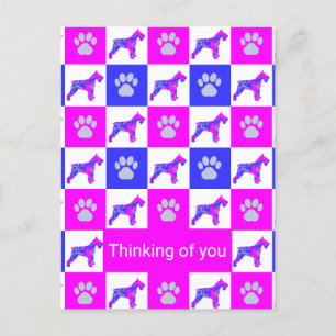 Schnauzer Dog & Paw Pink & Blue Thinking of You Postcard