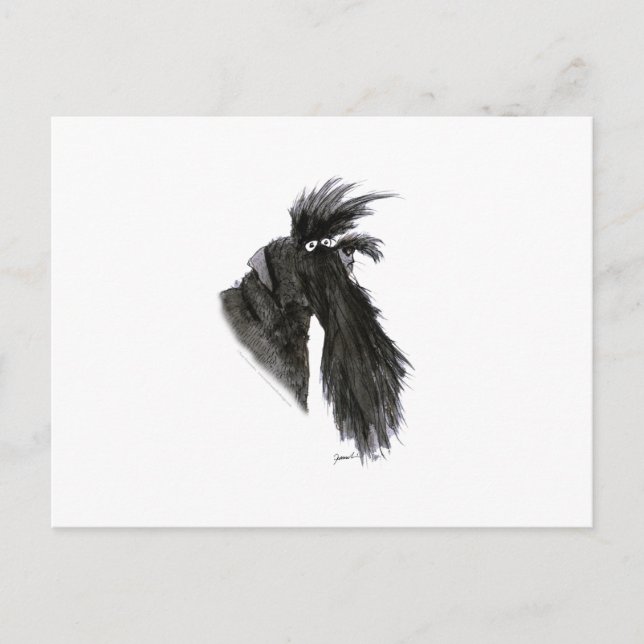 Schnauzer dog, tony fernandes postcard (Front)