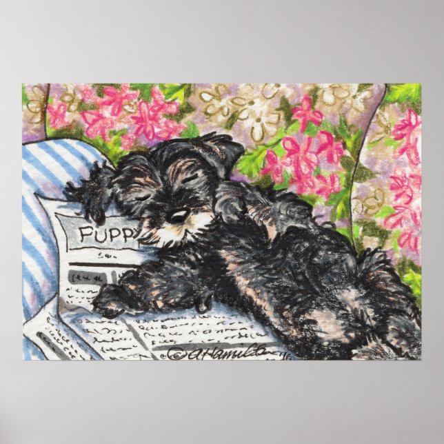 Schnauzer Dreams Print (Front)
