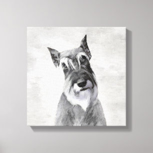Schnauzer (Giant) - Cute Original Dog Art Canvas Print