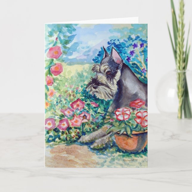 Schnauzer Greeting Cards (Front)