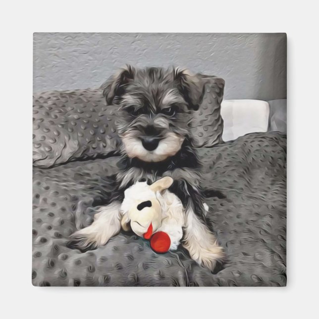 Schnauzer magnet  (Front)