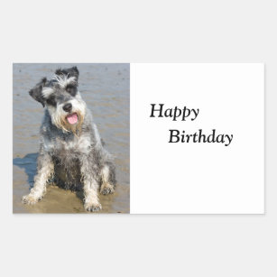 Schnauzer miniature dog photo happy birthday rectangular sticker