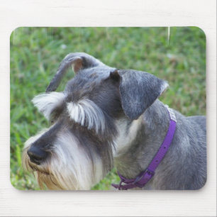 Schnauzer  Mouse Pad