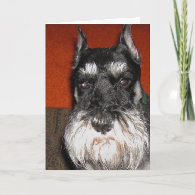 Schnauzer Note Card (Front)