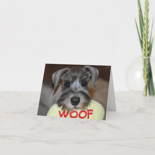 Schnauzer Notecards (Front)