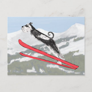 Schnauzer on Skis! Postcard