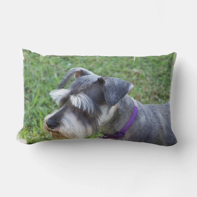 Schnauzer Pillow (Front)
