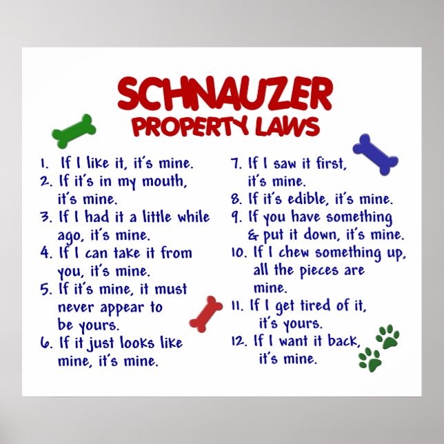 SCHNAUZER PL2 POSTER (Front)