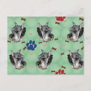 Schnauzer Portrait Postcard