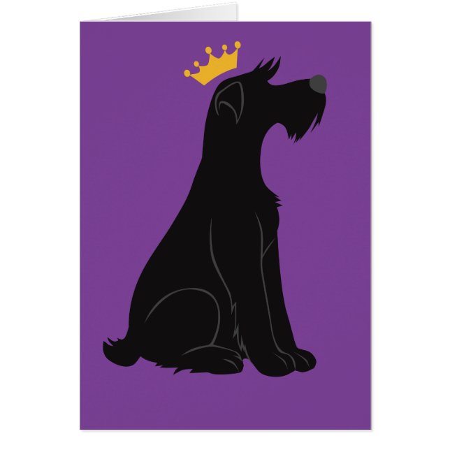 Schnauzer Prince (Front)