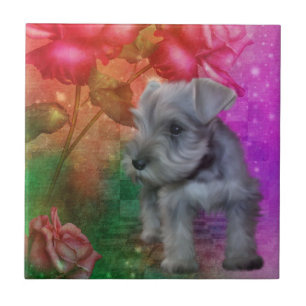 Schnauzer Puppy Dog Animal Art Tile