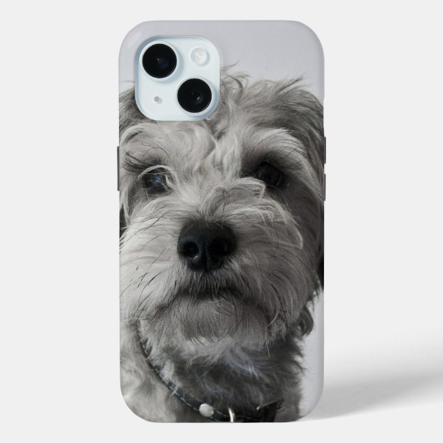 Schnauzer Puppy Portrait Photo Case-Mate iPhone Case (Back)
