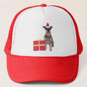 Schnauzer Santa Hat