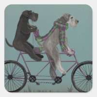 Schnauzer Tandem