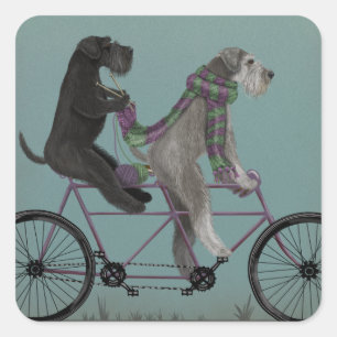 Schnauzer Tandem Square Sticker