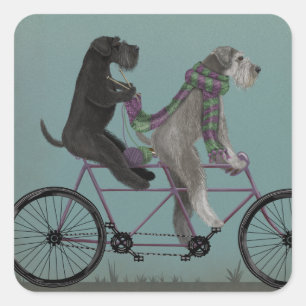 Schnauzer Tandem Square Sticker