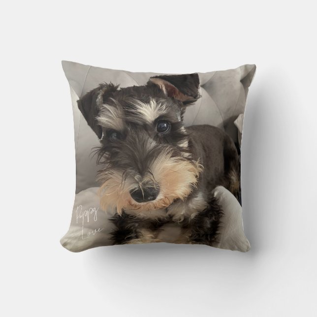 Schnauzer Throw Pillow (Front)