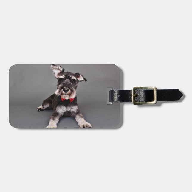 Schnauzer - Tom Dooley Luggage Tag (Front Horizontal)