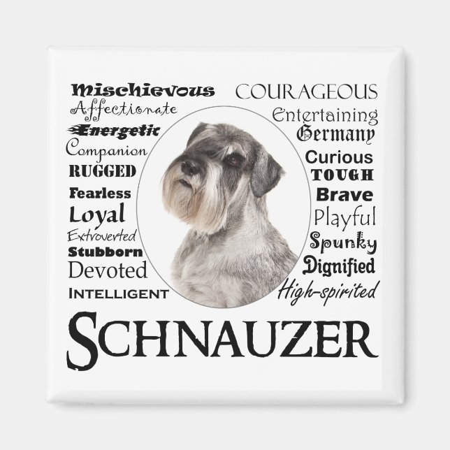 Schnauzer Traits Magnet (Front)
